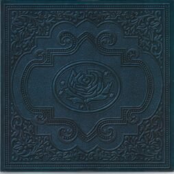 Ryan Adams & The Cardinals - Cold Roses (VG+/VG) (2LP)