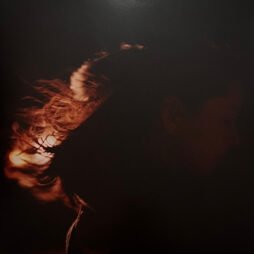 Lizzy McAlpine - Five Seconds Flat