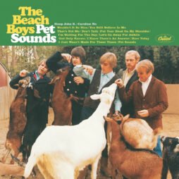 The Beach Boys - Pet Sounds (60th Anniversary) (Zoetrope Vinyl)