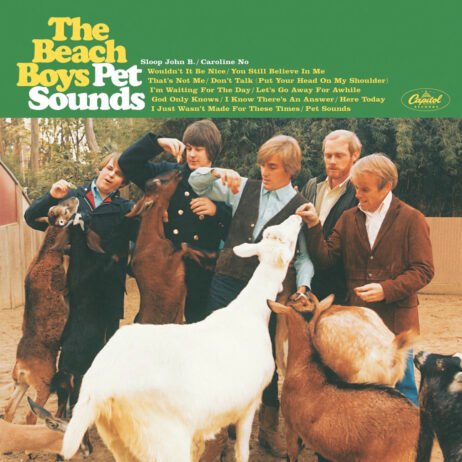 The Beach Boys - Pet Sounds (60th Anniversary) (Zoetrope Vinyl