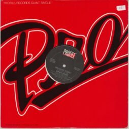 Dana Dane - Delancey Street (VG+/Gen) (12")