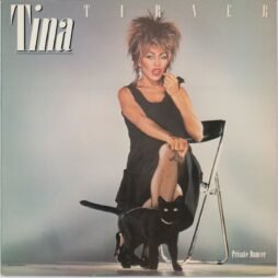 Tina Turner - Private Dancer (G+)