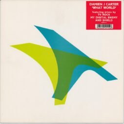 Damien J. Carter - What World (VG+)