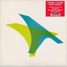 Damien J. Carter - What World (VG+)