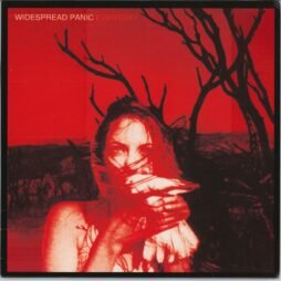 Widespread Panic - Everyday (VG+/VG) (2LP) (Ltd. Ed.)