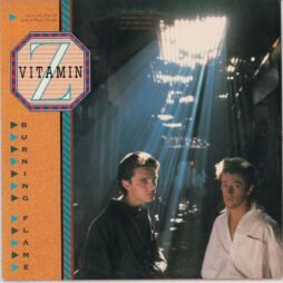 Vitamin Z - Burning Flame (VG) (12")