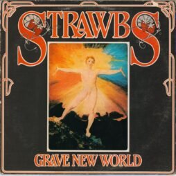 Strawbs - Grave New World (G+)
