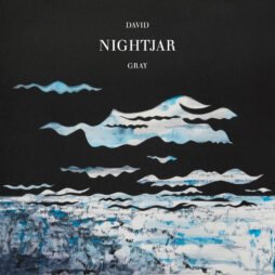David Gray - Nightjar (2LP)