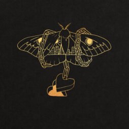 David Gray - Gold In A Brass Age (2LP)
