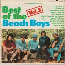 The Beach Boys - Best Of The Beach Boys Vol. 2 (G+)