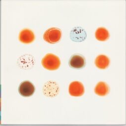 Peter Gabriel - Scratch My Back / And I'll Scratch Yours (VG+) (2LP)