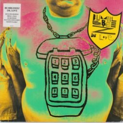 The Bumblebeez - Dr Love (VG+)