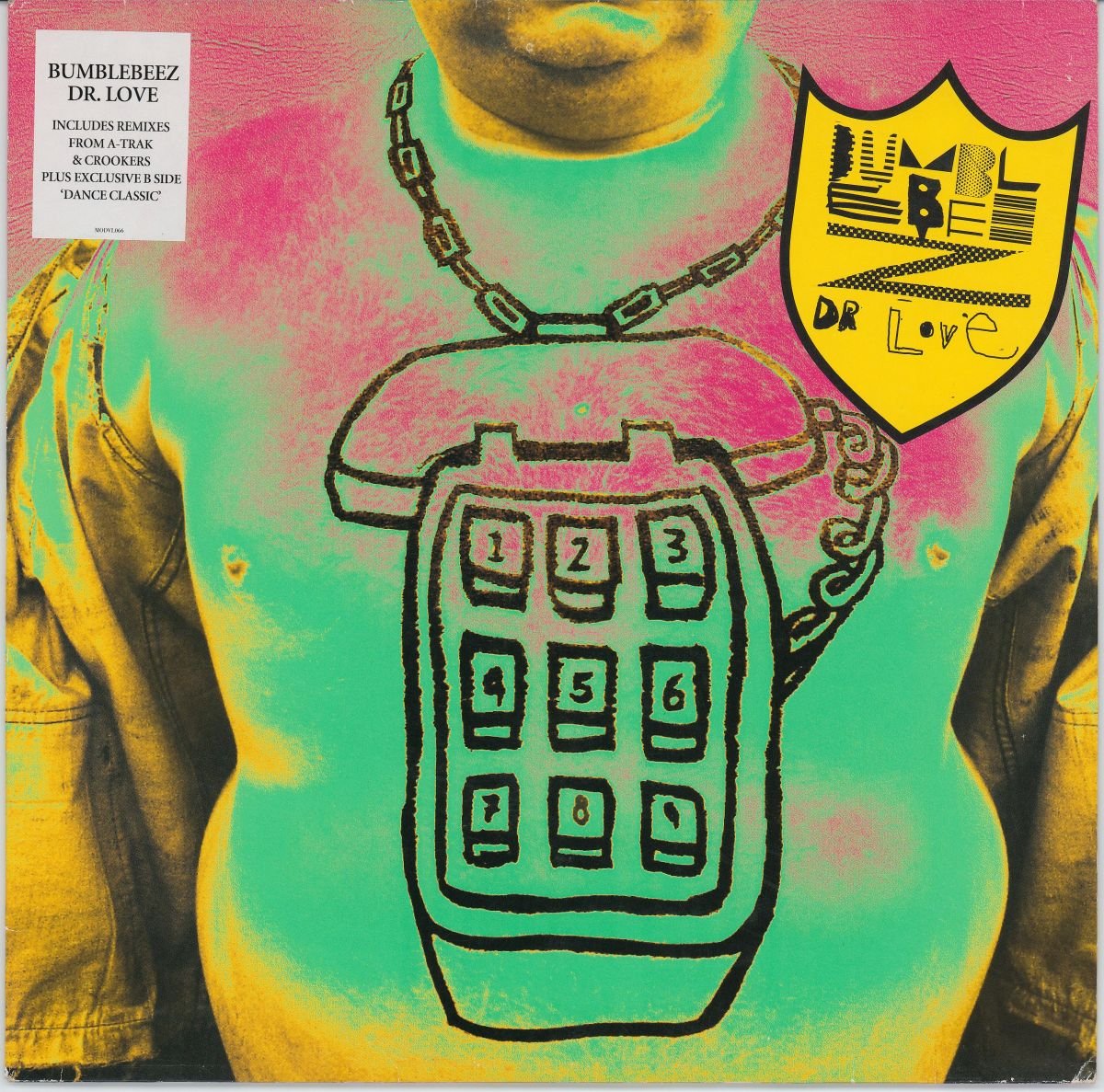 The Bumblebeez - Dr Love (VG+)