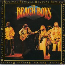 The Beach Boys - Revival (G+)