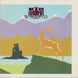 Big Country - Wonderland (VG) (12")