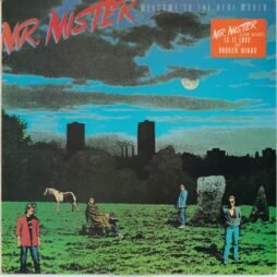 Mr. Mister - Welcome To The Real World (VG+/VG)