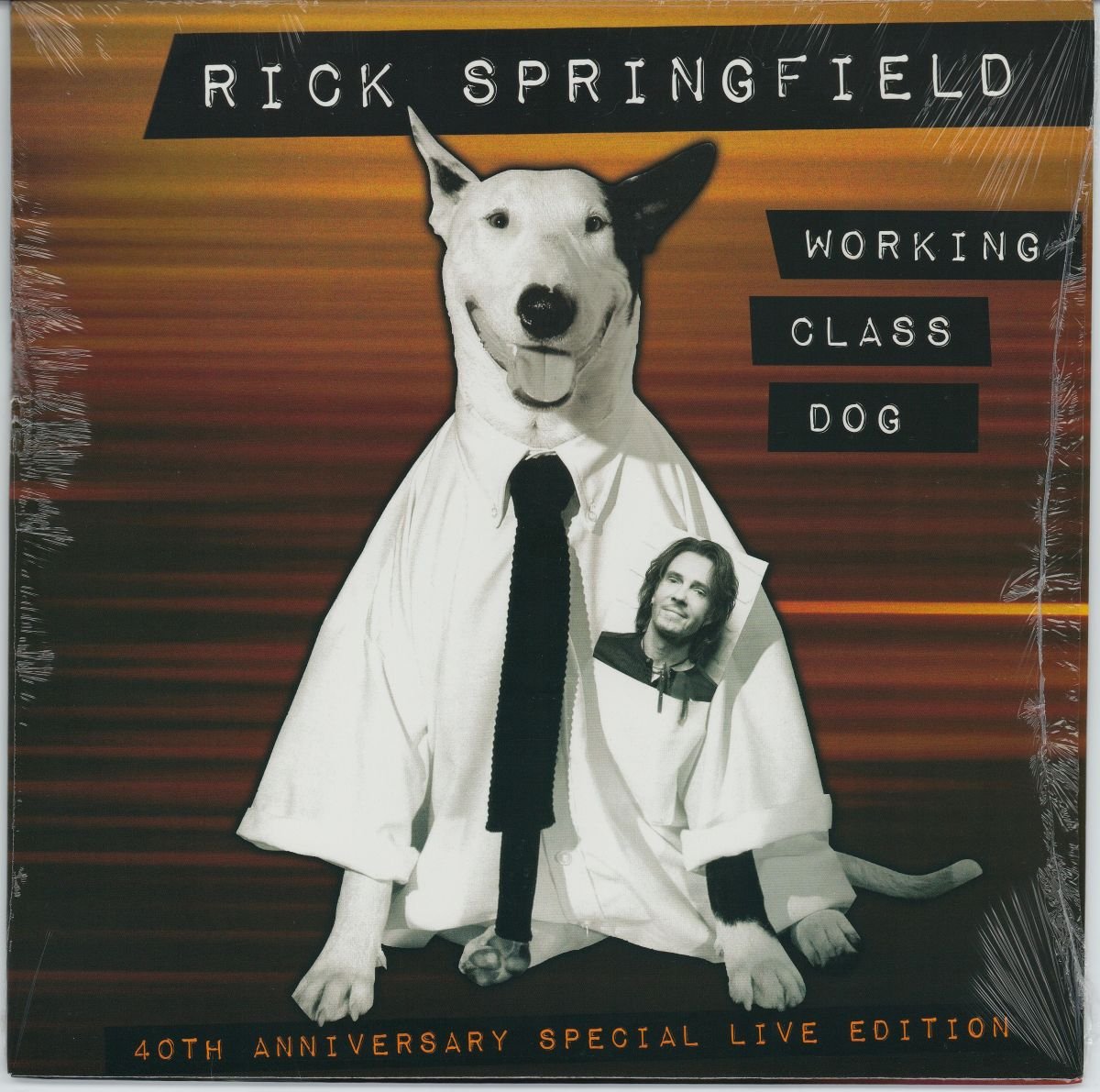 Rick Springfield - Working Class Dog (40th Anniversary Special Live Edition) (VG+)