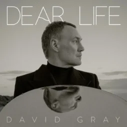 David Gray - Dear Life (2LP) (Green Vinyl)