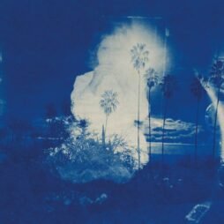 Fruit Bats - A River Running To Your Heart (Blue & Bone Swirl Vinyl)