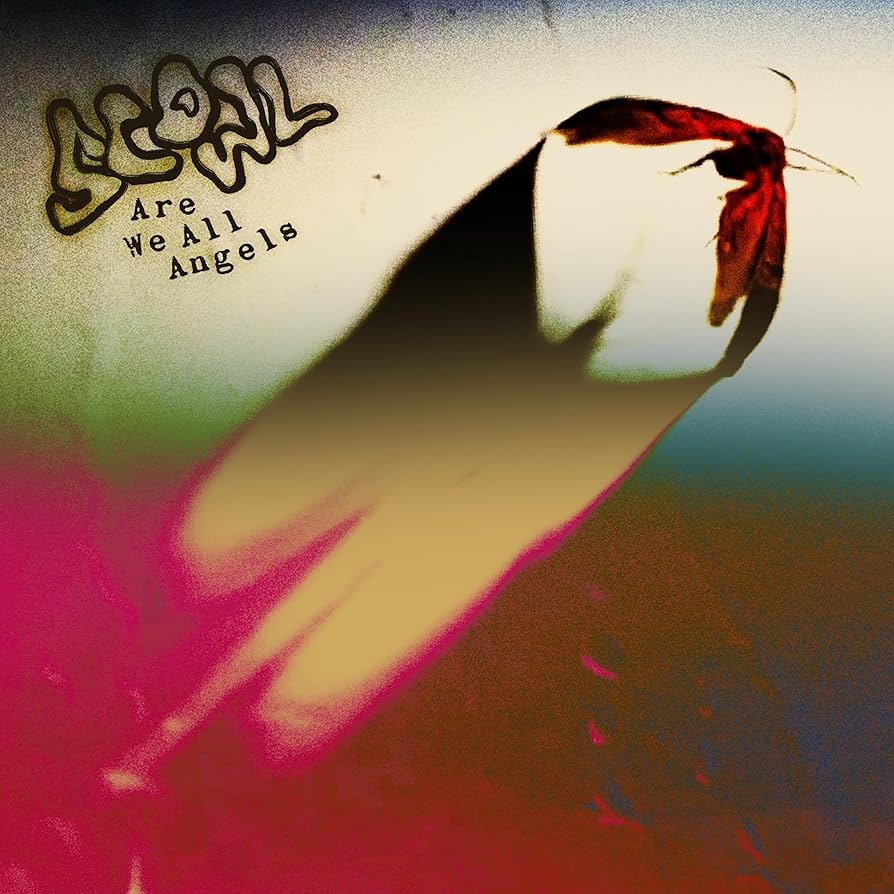 Scowl - Are We All Angels (Eco-Mix Coloured Vinyl)