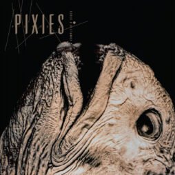 Pixies - Complete B Sides (2LP)