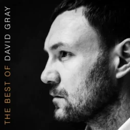 David Gray - The Best Of David Gray (2LP)