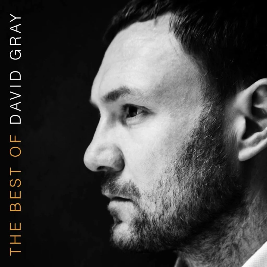 David Gray - The Best Of David Gray (2LP)