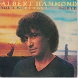 Albert Hammond - Your World And My World (VG+/G+)