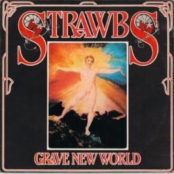 Strawbs - Grave New World (G+)