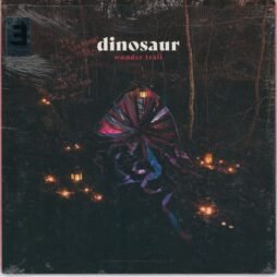 Dinosaur - Wonder Trail (VG+) (Ltd. Ed.)