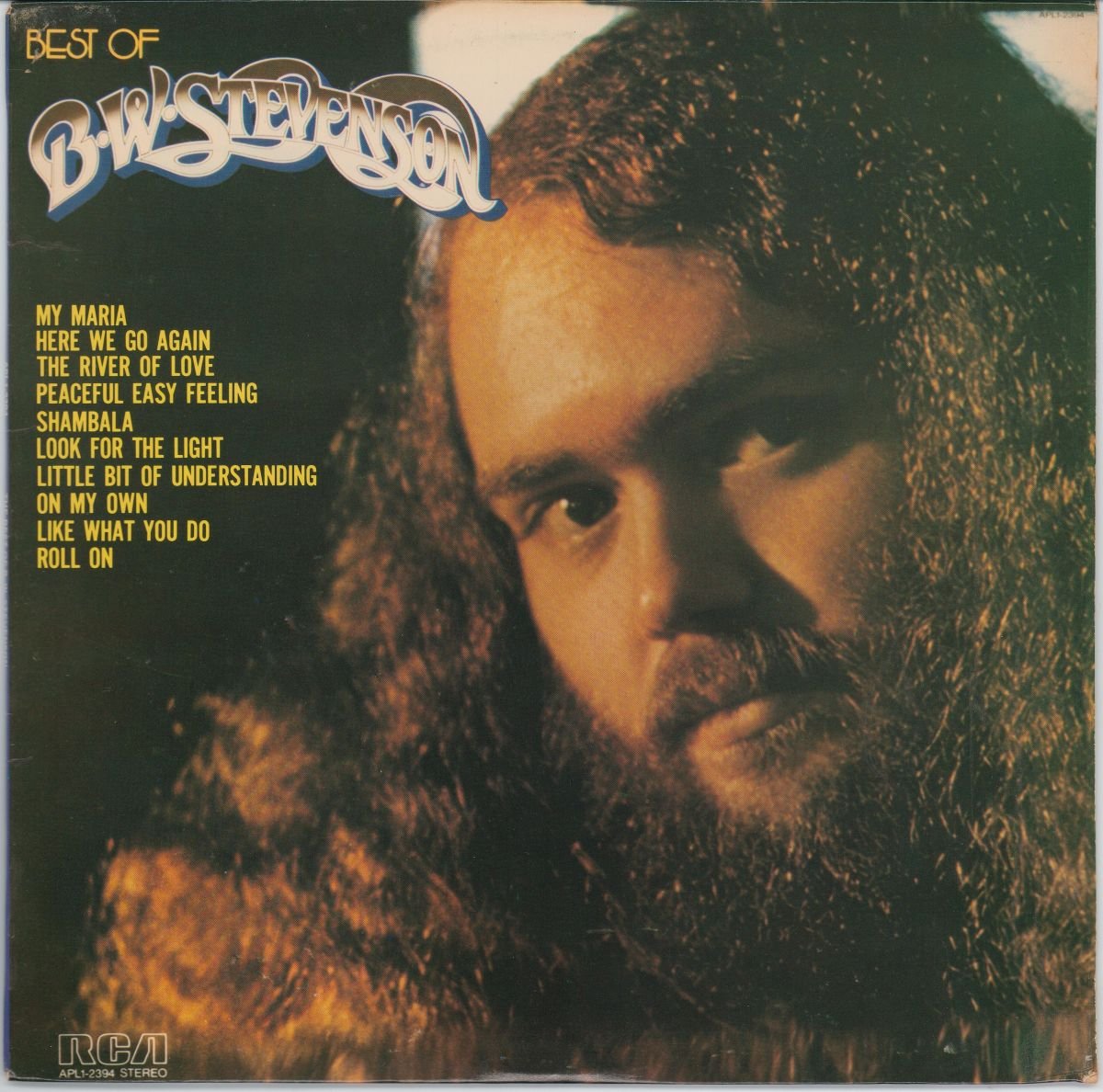 B.W. Stevenson - Best Of B.W. Stevenson (VG)