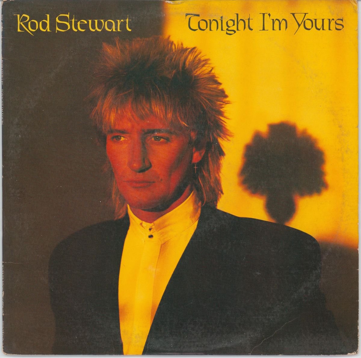 Rod Stewart - Tonight I'm Yours (G+)