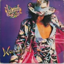 Rick James - Wonderful (G/G+)