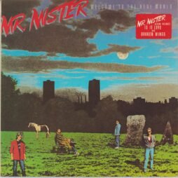 Mr. Mister - Welcome To The Real World (VG+)