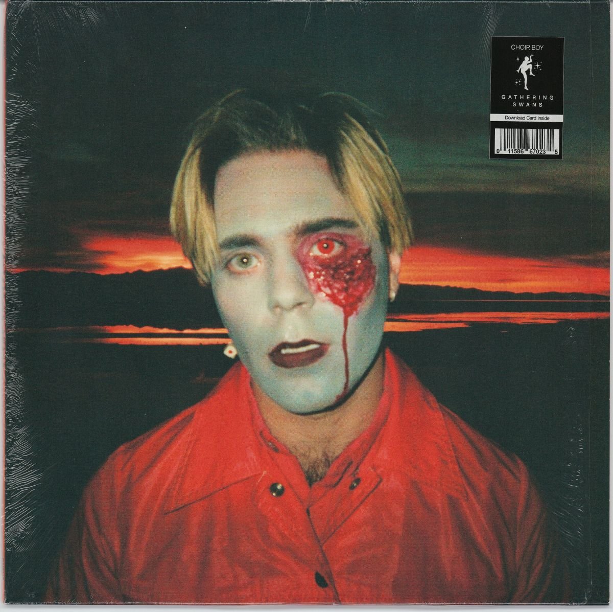 Choir Boy - Gathering Swans (VG+)
