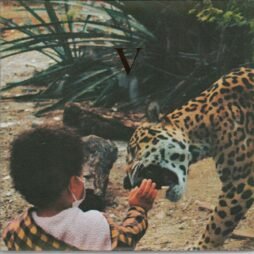 Unknown Mortal Orchestra - V (VG+) (2LP) (Gold Nugget Colour Vinyl)
