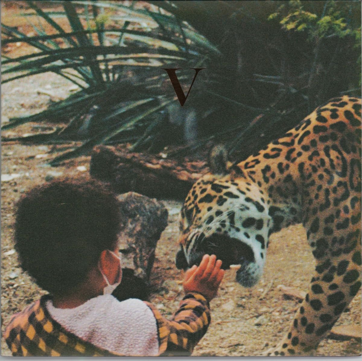 Unknown Mortal Orchestra - V (VG+) (2LP) (Gold Nugget Colour Vinyl)