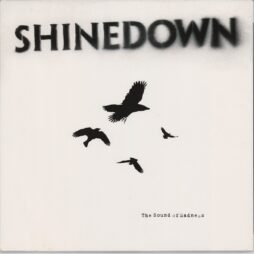 Shinedown - The Sound Of Madness (VG+/G+) (2LP) (Rainbow Splatter Colour Vinyl)