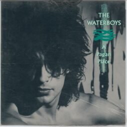 The Waterboys - A Pagan Place (VG+/G+)
