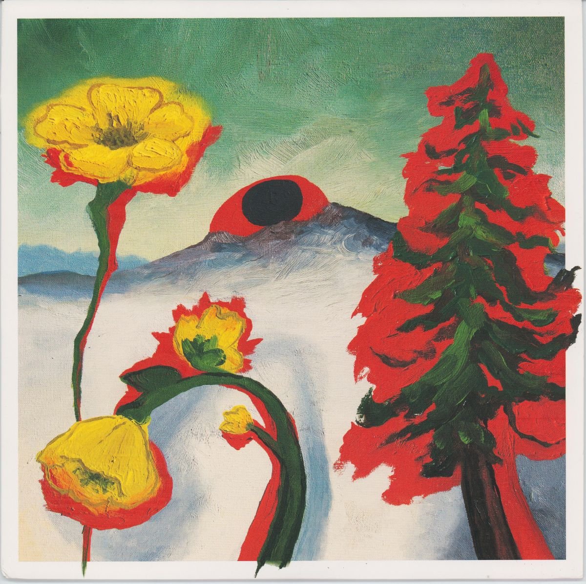 Woods - Strange To Explain (VG+)