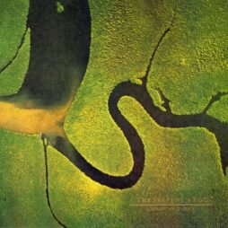 Dead Can Dance - The Serpent's Egg