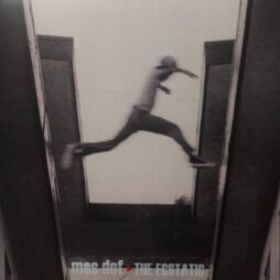 Mos Def - The Ecstatic (2LP)