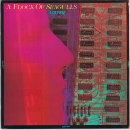 A Flock Of Seagulls - Listen (VG)