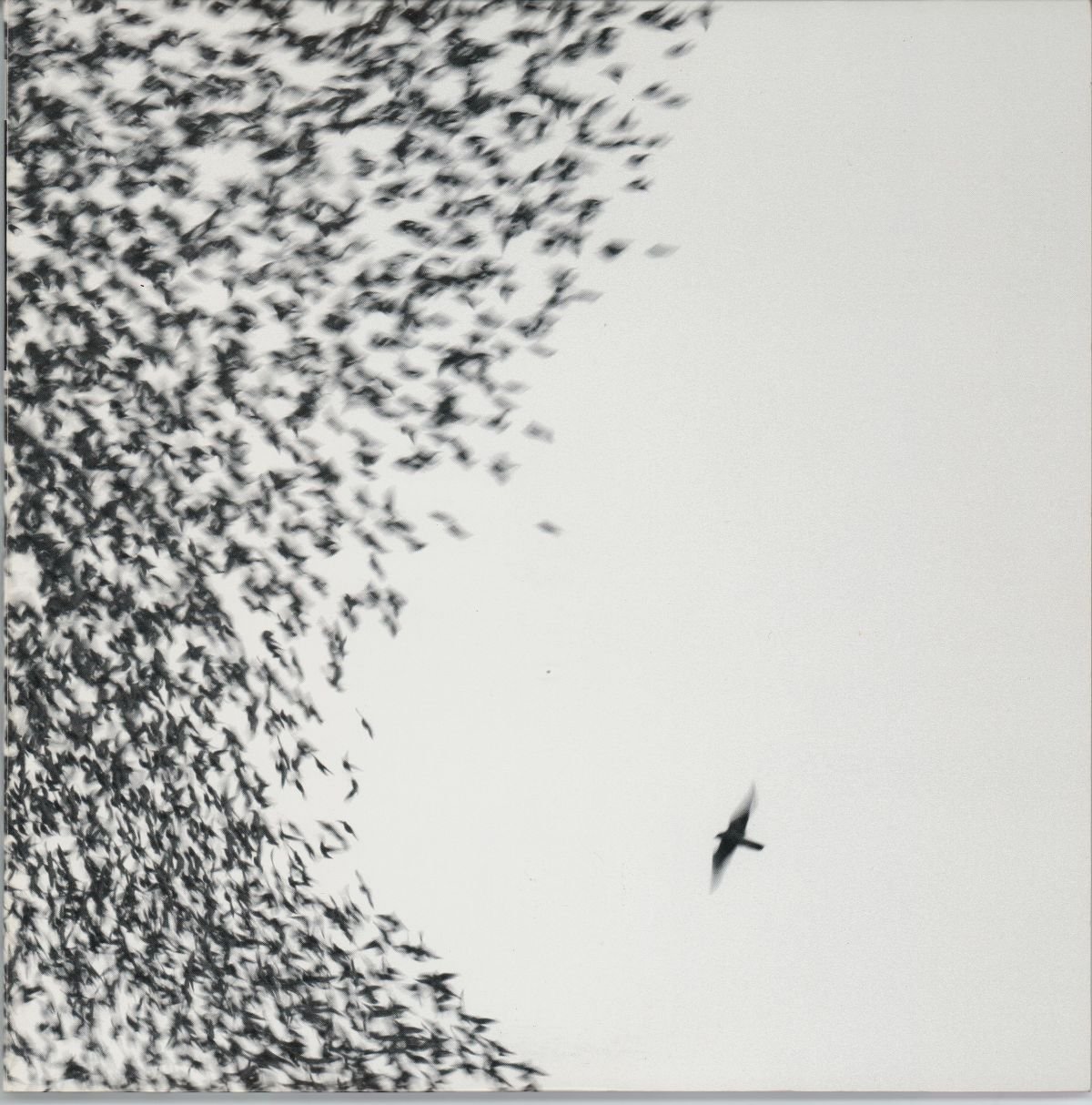 Wilco - Sky Blue Sky (VG+) (2LP)