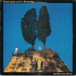 Elvis Costello & The Attractions - Goodbye Cruel World (VG/G+)