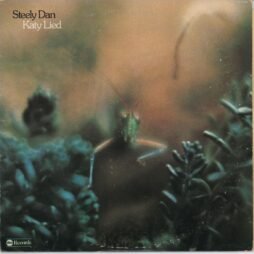 Steely Dan - Katy Lied (VG)