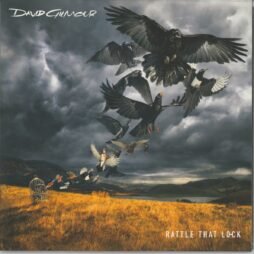 David Gilmour - Rattle That Lock (VG+)