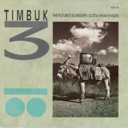 Timbuk 3 - The Future's So Bright, I Gotta Wear Shades (VG/G+) (12")