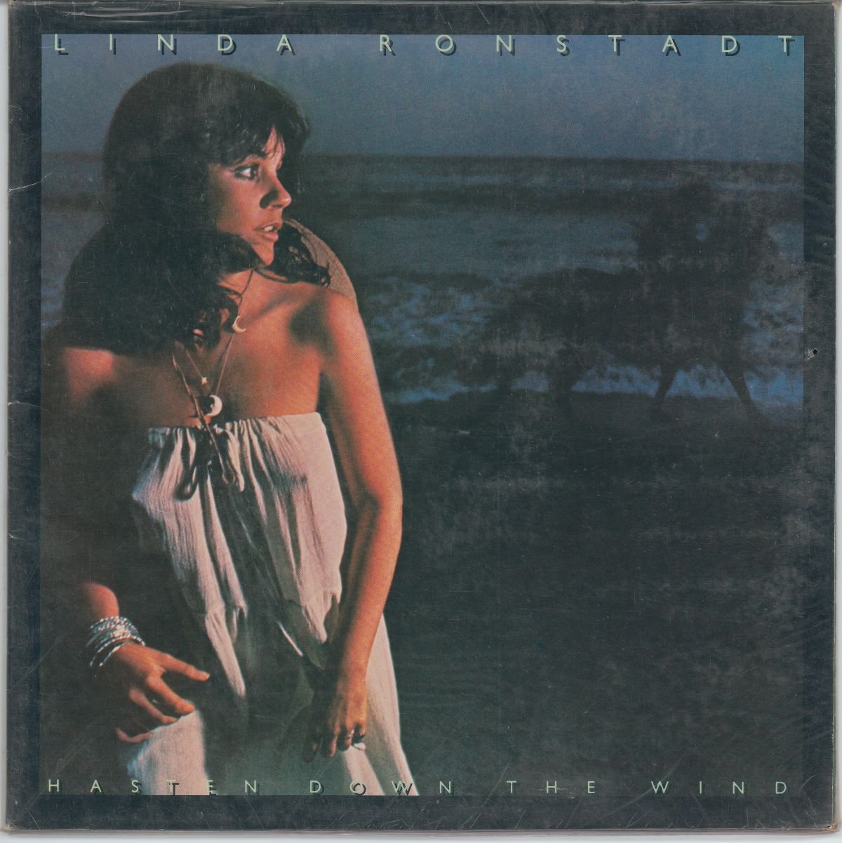 Linda Ronstadt - Hasten Down The Wind (VG+/VG)
