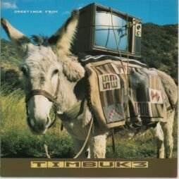Timbuk 3 - Greetings From Timbuk 3 (VG+)